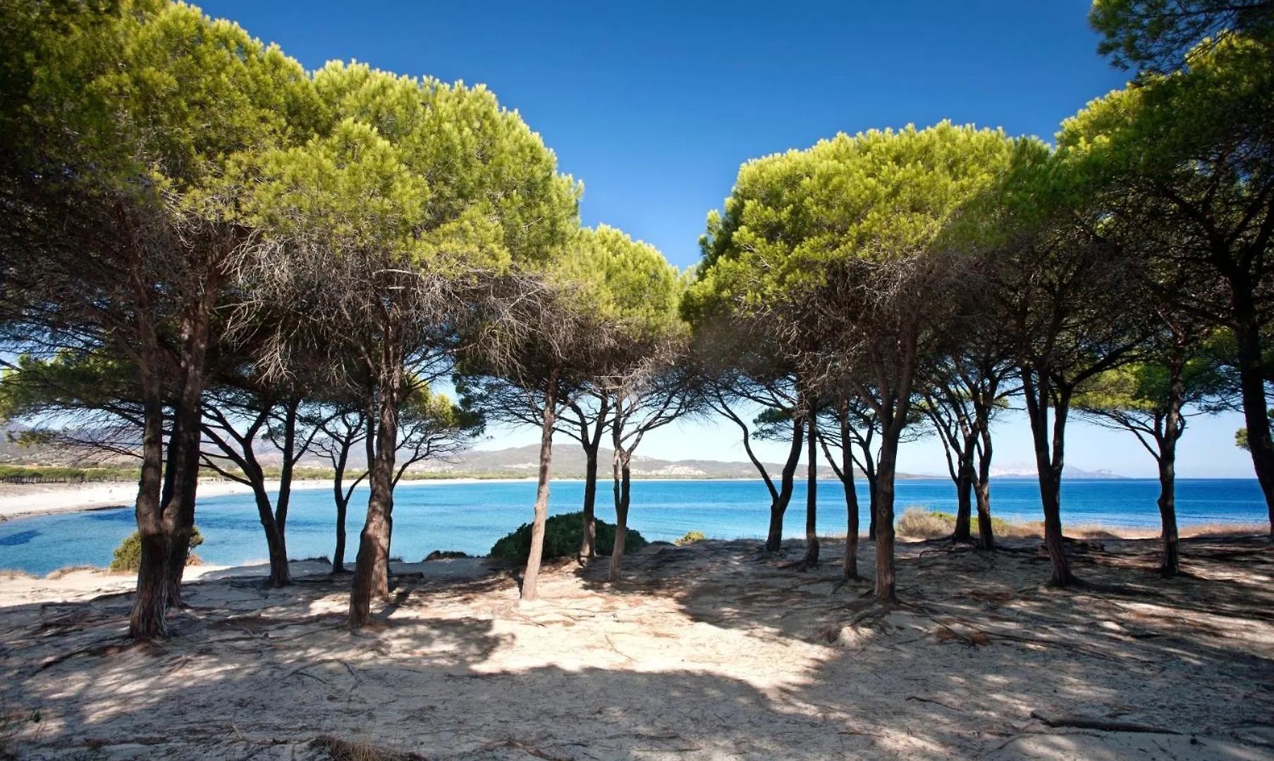 80M Dalla Spiaggia Trilo E Bilo Budoniaffitti איטליה